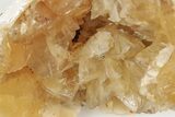 Partial Fossil Clam with Fluorescent Calcite Crystals - Ruck's Pit #191768-1
